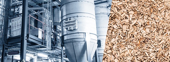 Biomass Gasification <span>– Power Plants</span>